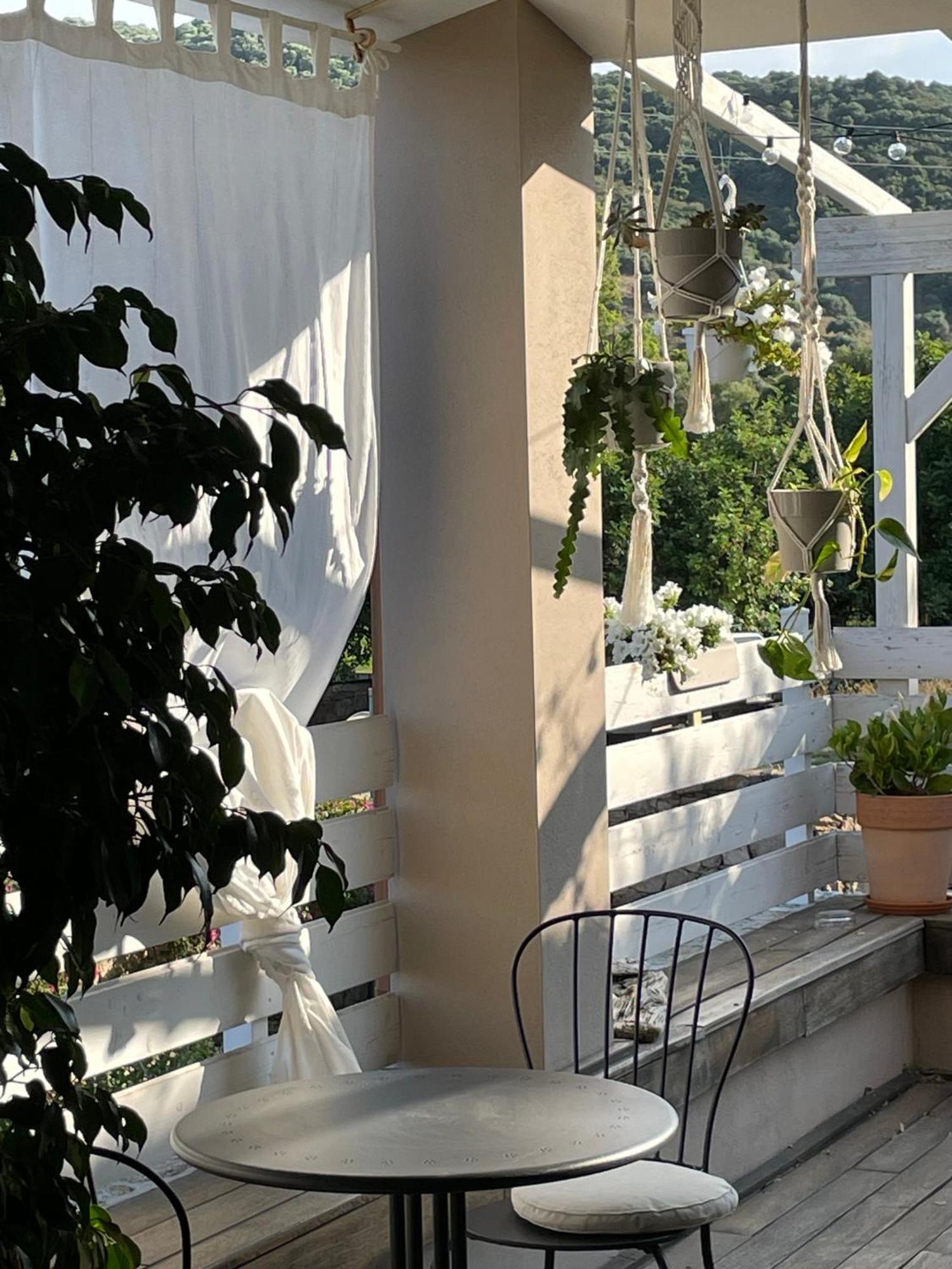 La Pecora Nera B&B Будоні Екстер'єр фото